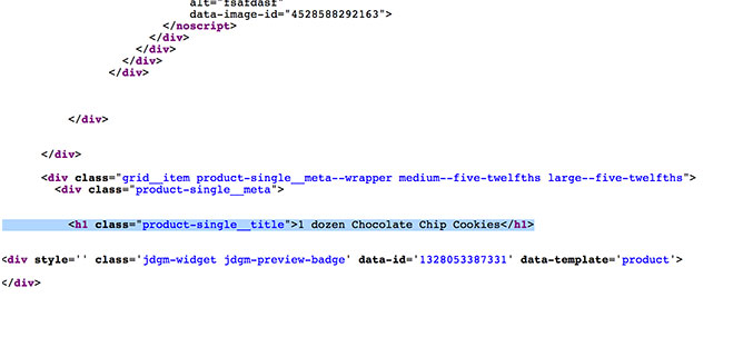 h1 tag in page source code