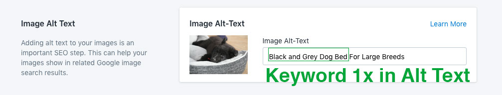 alt text descriptions seo