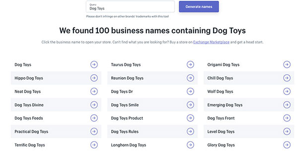 shopify business name generator